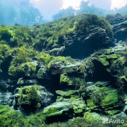 Дайвинг на Голубом озере