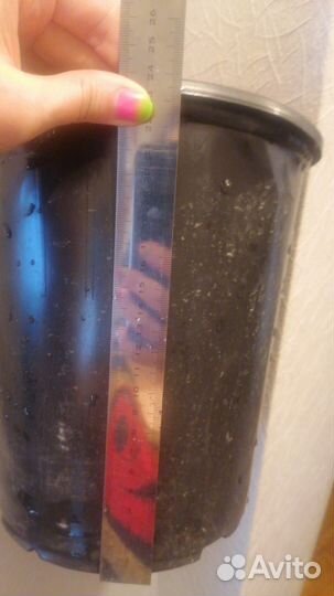 Транспортировочный горшки для растений