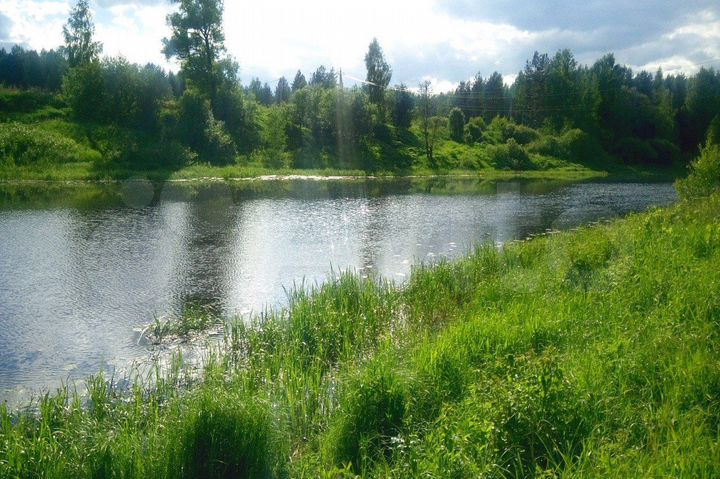 Участок 15,2 сот. (СНТ, ДНП)