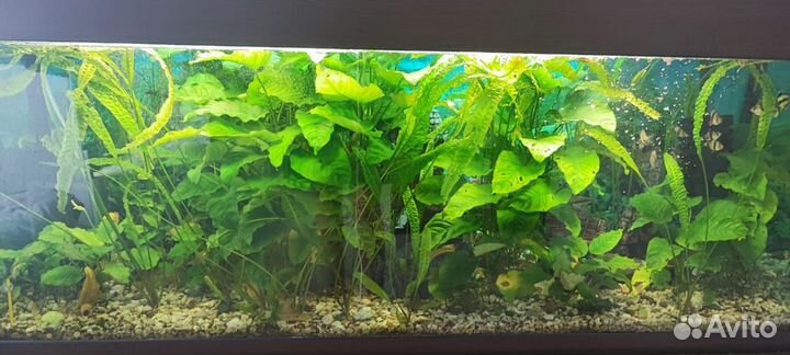 Аквариум с тумбой