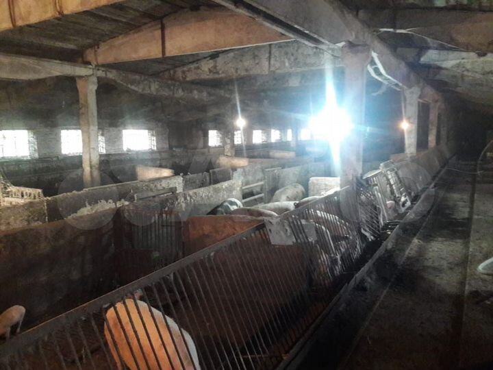 Здание, 6000 м²