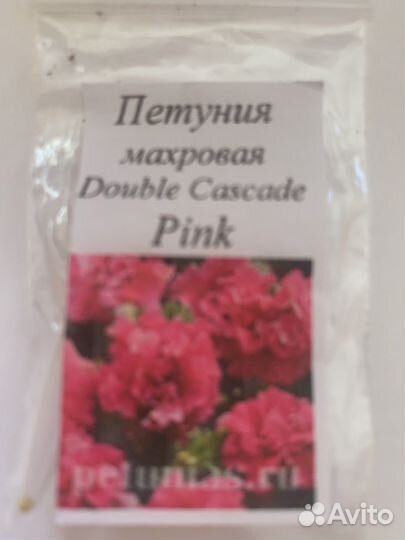 Рассада цветов