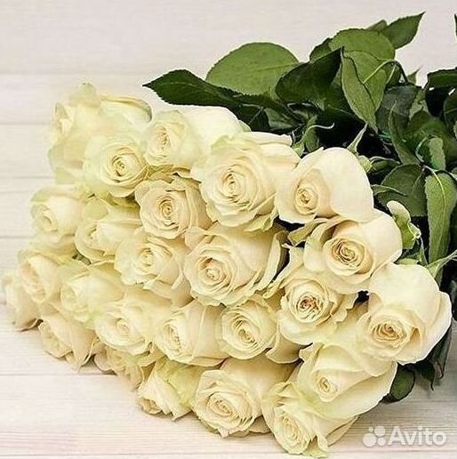 Розы Метровые 100 см доставка Москва