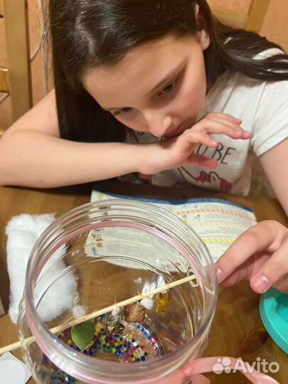 Куколки - коконы бабочек для выращивания