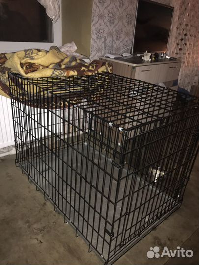 Клетка на прокат