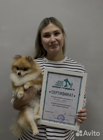 Курсы по стрижке животных