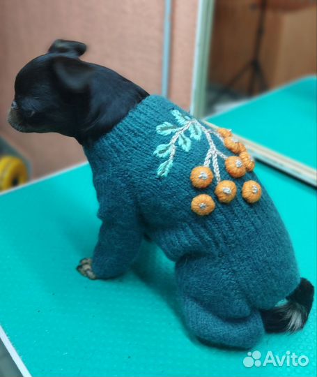 Одежда для собак