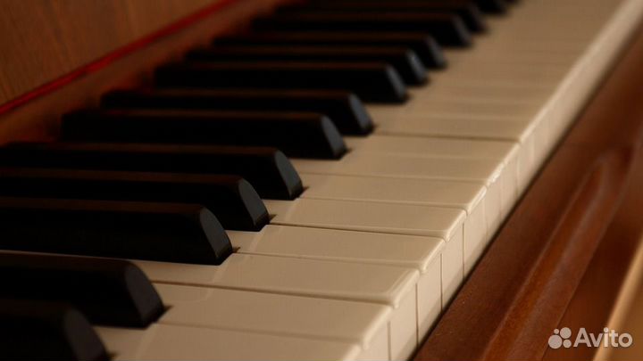 Настройка Пианино (Фортепиано)