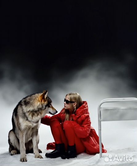 Видео с пантерой, леопардом Нейрофотосессия