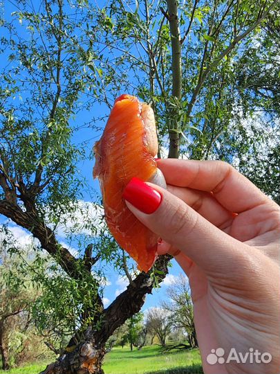 Астраханская икра воблы