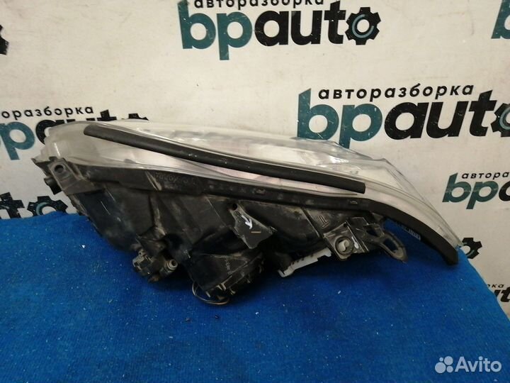 Фара галоген правая 81130-42501 Toyota Rav4 35