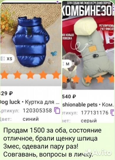 Одежда для собак