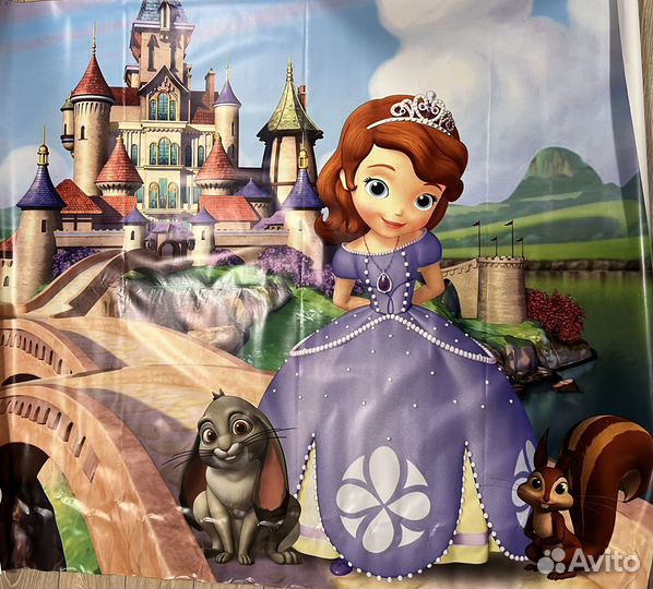 Плакат для фотозоны София прекрасная