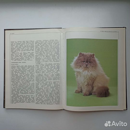Книги о животных, книги про кошек, детские книги