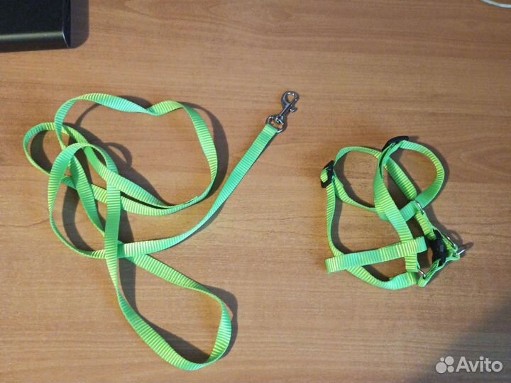 Шлейка для кошки