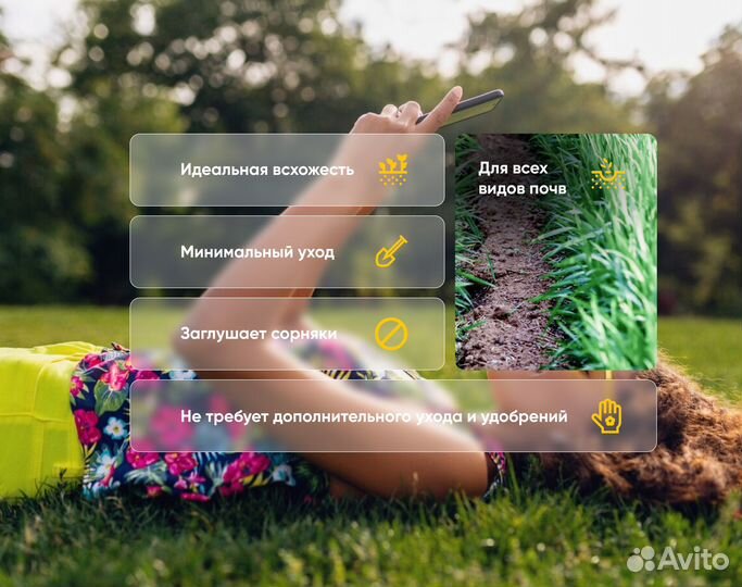 Газонная смесь Карликовая