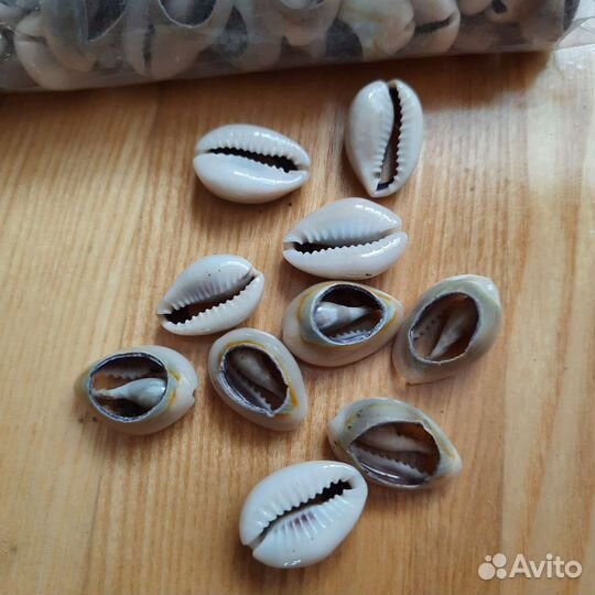 Ракушки каури 2 см 116 шт