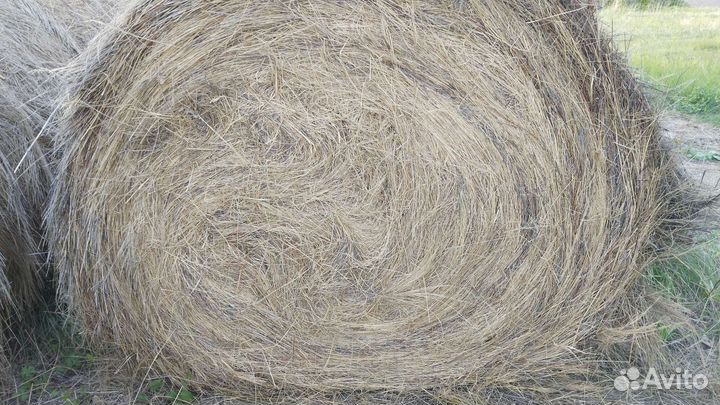 Сено и солома