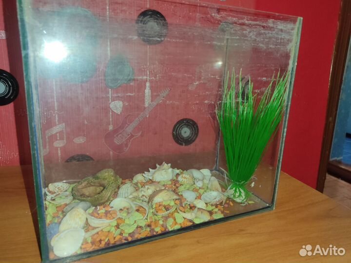 Аквариум с украшениями