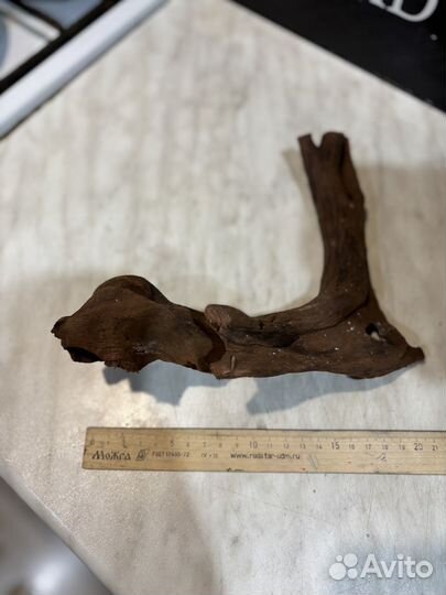 Продам карягу для террариума или аквариума