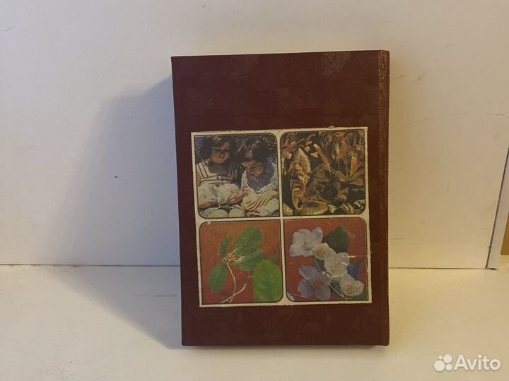 Книга Приусадебное Хозяство