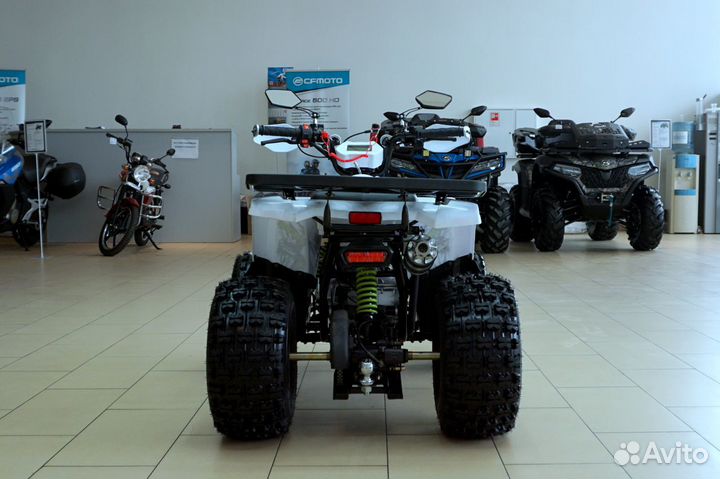 Avantis Hunter 8 New Premium