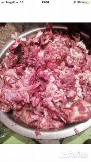 Мясо говядина для собак