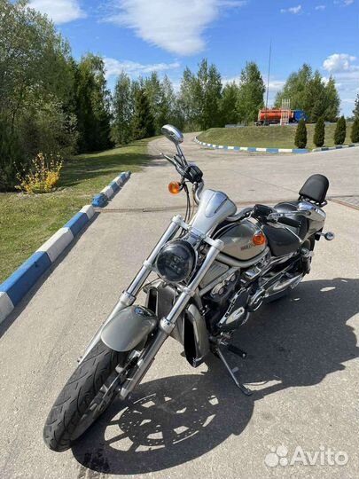 Harley-Davidson v-rod vrsca 2006