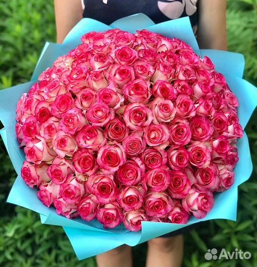 101 роза Цветы