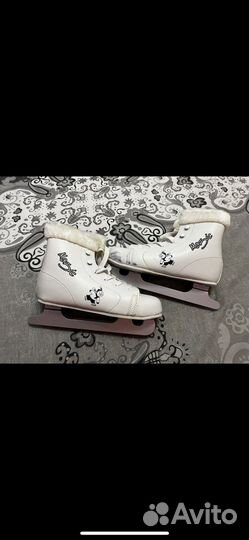 Коньки зимние