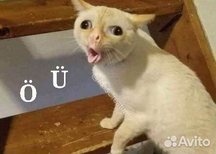 Репетитор по турецкому языку