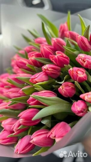 Тюльпаны на 14 февраля