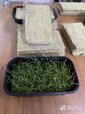 Агровата для Растений Микрозелени Оптом Мат qsdvby