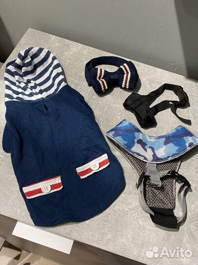 Бабочка и кофточка для собак