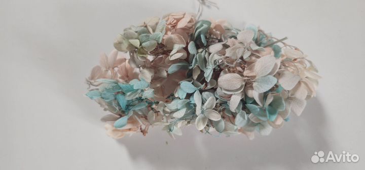 Гортензия стабилизированная