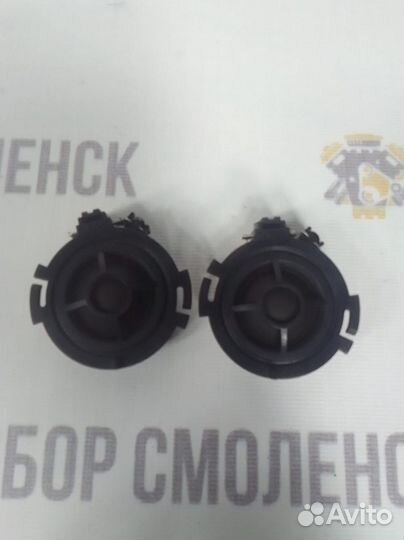 Динамик высокочастотный Audi A6 C6