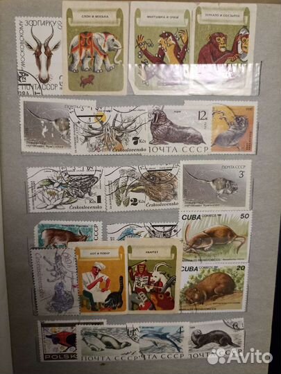 Альбом с коллекционными марками