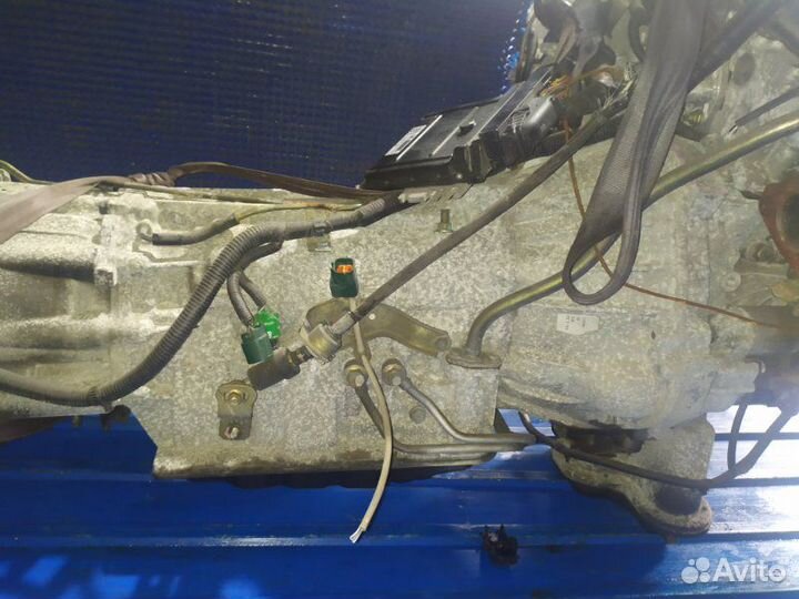 АКПП Nissan Elgrand NE51 VQ35DE 2006