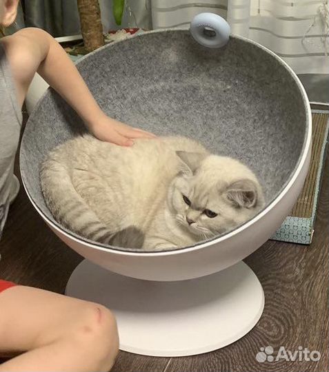 Лежанка для кошек новая