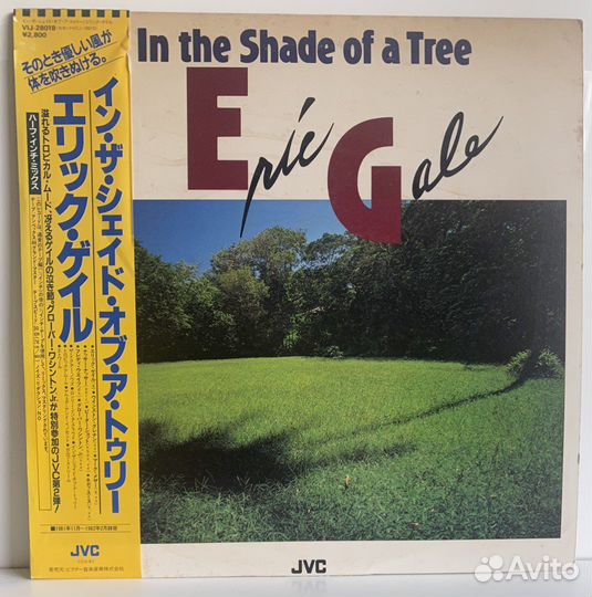 Jazz:Eric Gale /In The Sade of a Tree LP MT 1982