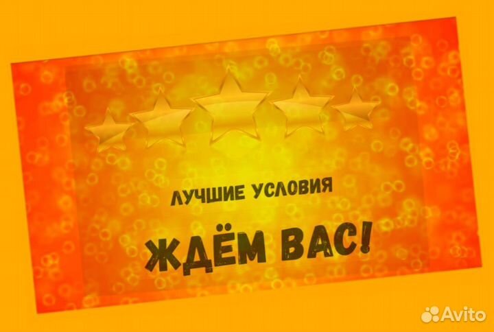 Упаковщик на склад Еженедельные выплаты Без опыта