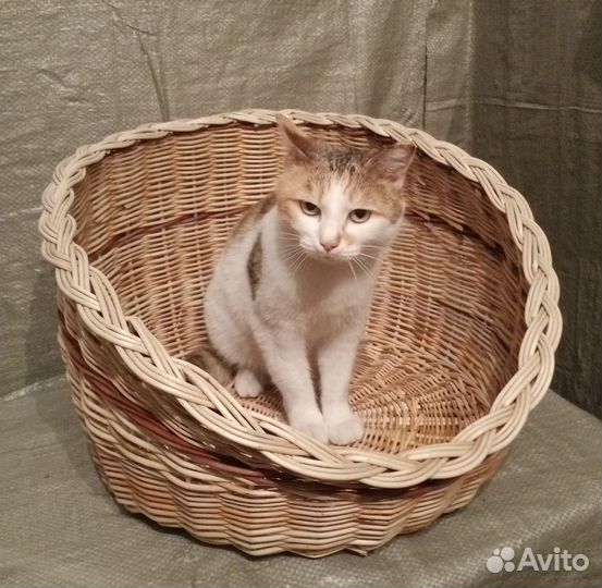 Лежанка для питомца