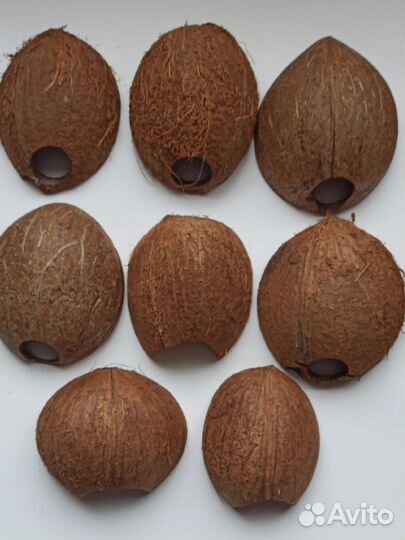 Стартовый набор для эублефара (террариум)