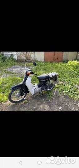 Suzuki birdie 2 tacta