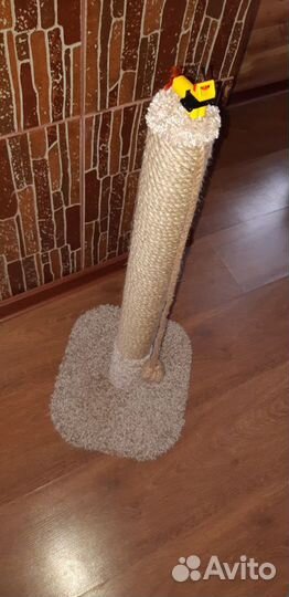 Когтеточка для кошки (7 моделей)