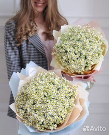 Цветы ромашки