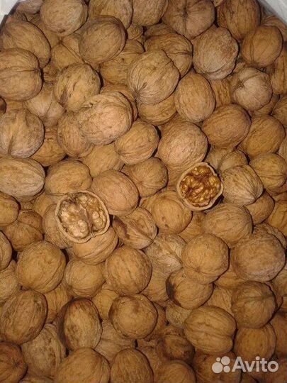 Грецкий орех
