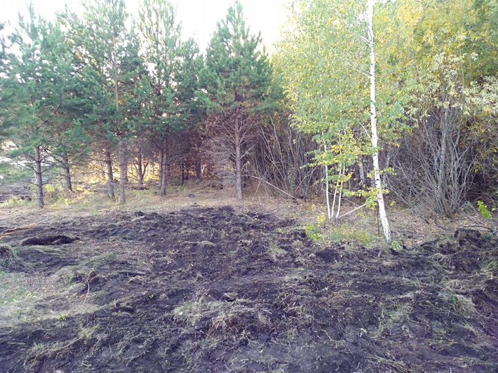 Участок 15,4 сот. (ИЖС)