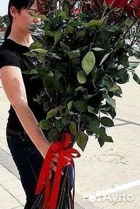 Розы Цветы Букеты 25 151 201 101 301 501 опт