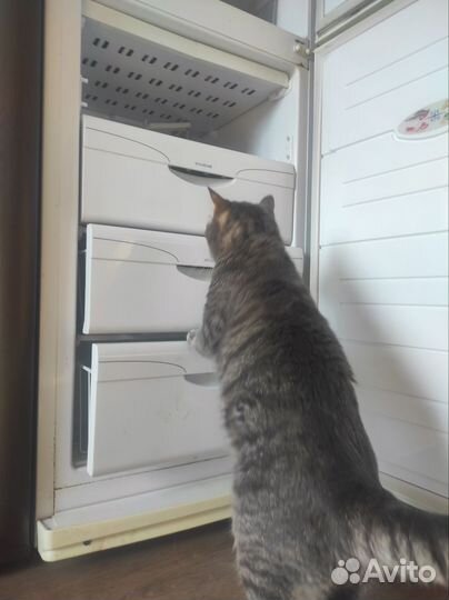 Холодильник бу